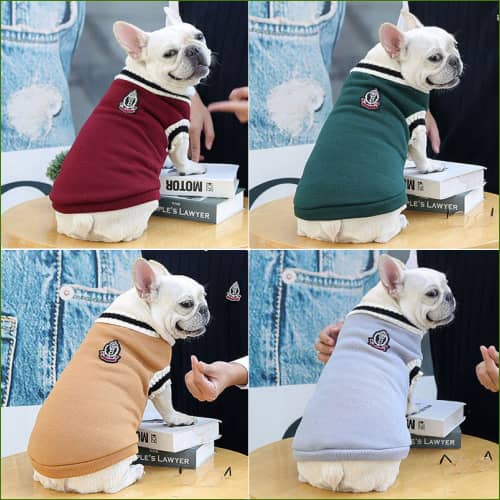 Pull Pour Chien col en v