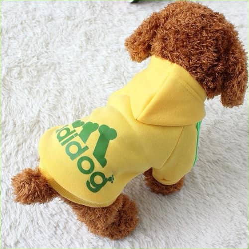 Pull Pour animaux Adidog Jaune / 4Xl 7.5-10Kg