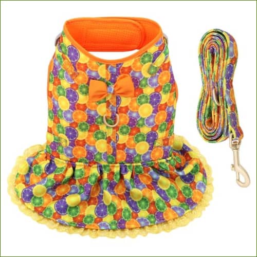 Robe Pour Chien Chic Et Élégante Avec Laisse Assortie Orange / Xs
