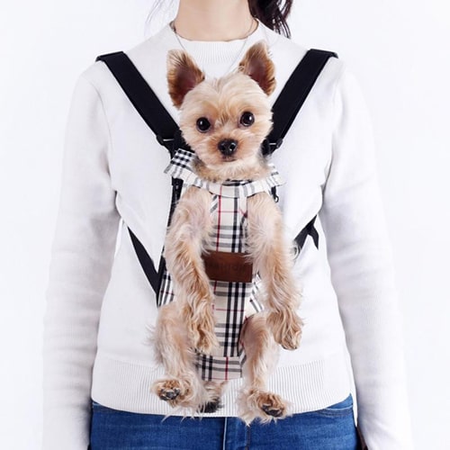 Sac de transport ventral pour yorkshire