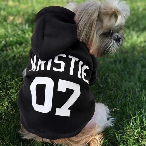 sweat pour chien personnalisé