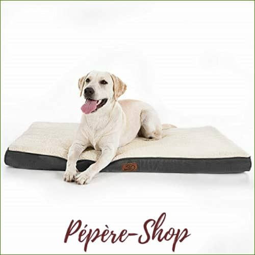Tapis Grand Chien Orthopédique Et Déhoussable