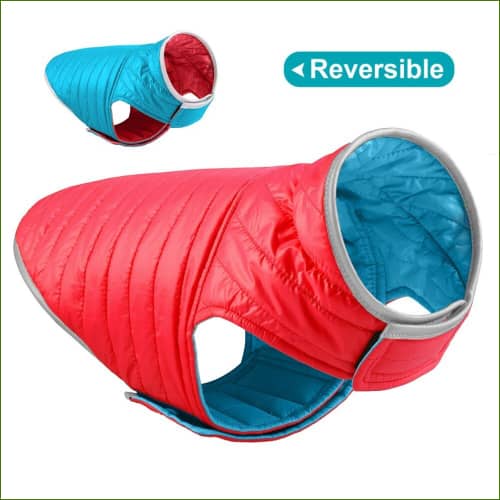 manteau Pour Bouledogue Français Imperméable Manches Courtes