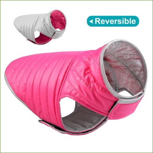 manteaux Imperméable bouledogues Rose / Xl