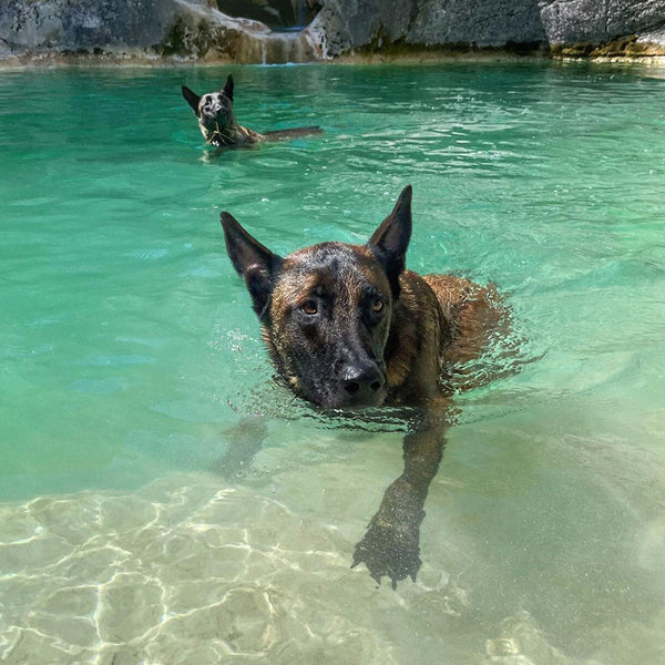 Guide du meilleur gilet rafraîchissant