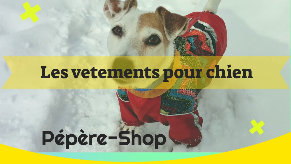 vidéo vêtements pour chien de Pépère-shop