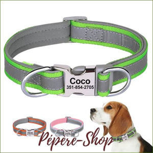 Collier avec prénom en nylon réfléchissant pour Jack Russell Vert ou Bleu/