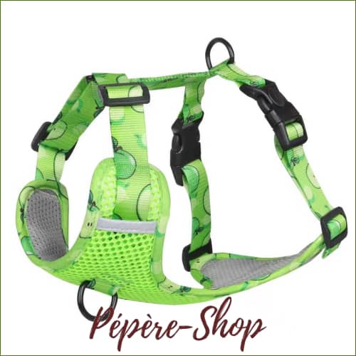 Harnais En Nylon Pour Chien Pet Artist Avec Sa Laisse Assortie Design Et Coloré Vert / S Colliers