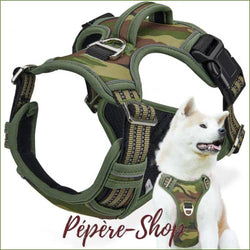 Harnais Rembourré Pour Le Confort Du Chien - Motif Camouflage