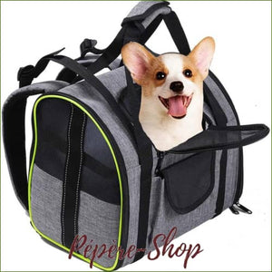 Sac a dos porte chien BEPET  avec bretelles réglable et sangle dorsale/