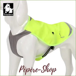 Veste D’été Légère Et Confortable Pour Chien Berger