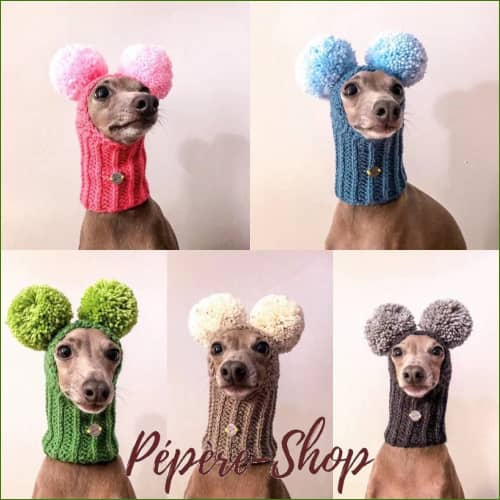 Bonnet Fun Pour Whippet