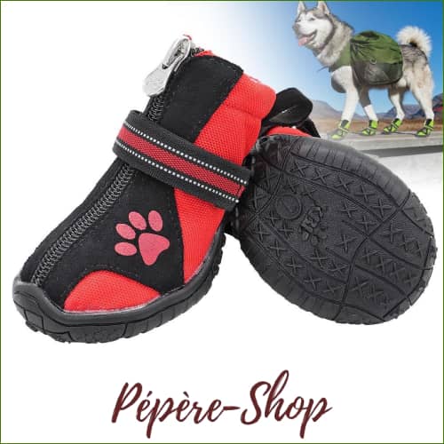 Bottes Pour Chien Antidérapantes - Lot De 4 Pièces