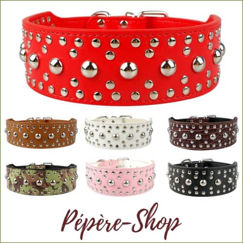 Collier Cuir Clouté pour chiens - 5Cm De Large Réglable