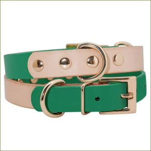 Collier cuir pour petit chien au design bicolore de luxe Vert / S