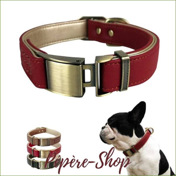 Collier cuir pour petit chien rembourré , haut de gamme avec boucle à dégagement rapide - -PEPERE SHOP