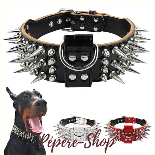 Collier En Cuir Véritable Clouté Pour Chien Collier