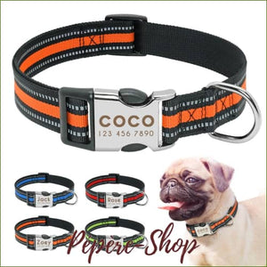 Collier Fluo Gravé Pour Chien Midog