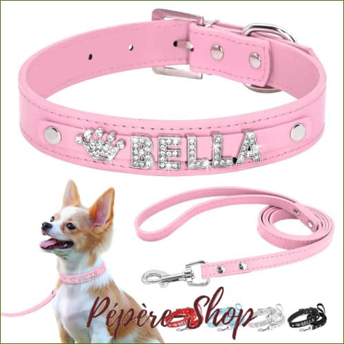 Collier Mini pour chien Chic Et Cosy Avec Personnalisation Par Lettre En Strass