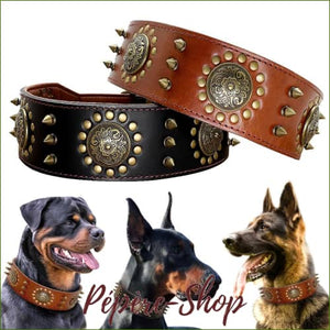 Collier pour gros chien haut de gamme en cuir design - -PEPERE SHOP