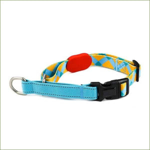 Collier ras du cou pour chien en Nylon souple réfléchissant Sunrise / L