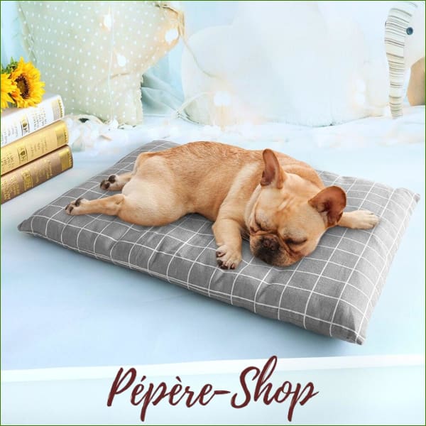 Coussin pour chien PiLo déhoussable , design , pas cher - -PEPERE SHOP