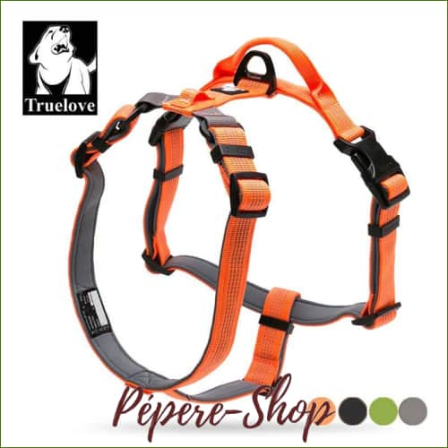 Harnais TRUELOVE Mountain pour chien - randonnée et excursions - -PEPERE SHOP