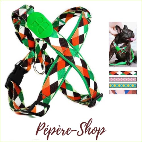 Harnais de luxe pour chien, en nylon avec rembourrage néoprène - -PEPERE SHOP