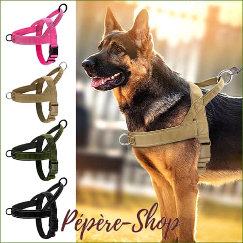 Harnais Nylon Réflecteur Sans Traction Réglable Pour Moyen Ou Grand Chien - Pépère-Shop