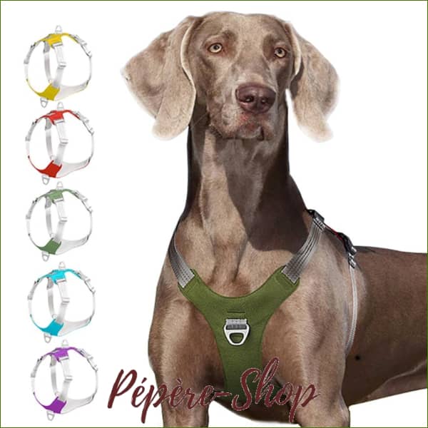 Harnais anti-tirage système double attache pour chien-PEPERE SHOP