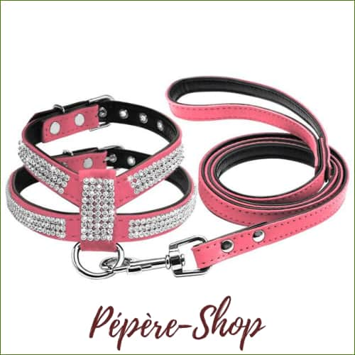 Harnais avec strass pour Chihuahua en cuir - PEPERE SHOP