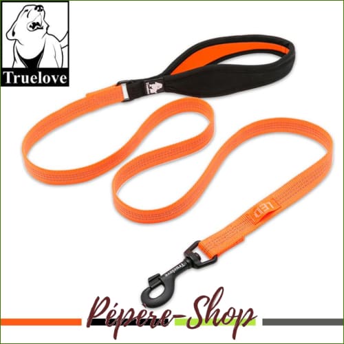 Laisse réfléchissante pour chien TRUELOVE - -PEPERE SHOP