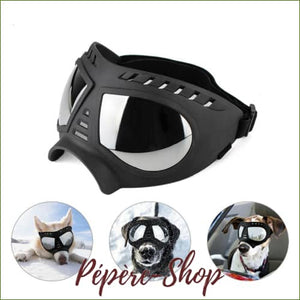 Lunettes moto pour chien anti uv, ajustables/