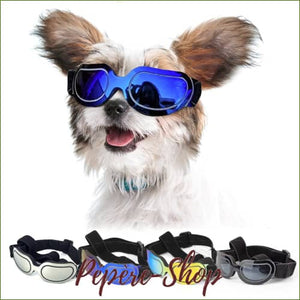 Lunettes pour chien chihuahua ou yorkshire - Doggles/