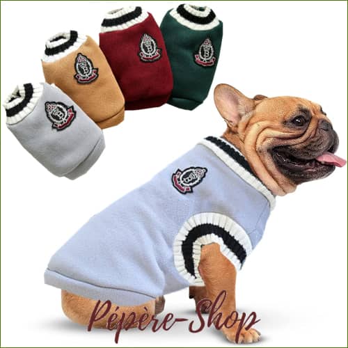 Pull Col En V Style Collège Avec Écusson Pull Pour Chien