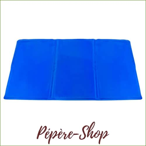 Tapis rafraichissant pour chien , modèle résistant et durable - 60x100cm / France-PEPERE SHOP