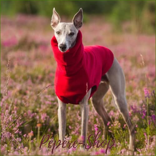 Veste Polaire Pour Chien Whippet Rouge / S Pull