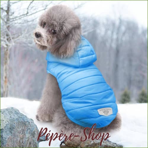 Veste Pour Chien À Capuche Et Imperméable