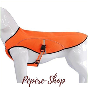 Veste rafraichissante pour chien  TRUELOVE modèle haut de gamme - orange / L-PEPERE SHOP