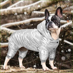 Habit  d'hiver Pour Chien Chaud Et Design Argent / M